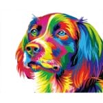 Abstract Colorful Dog