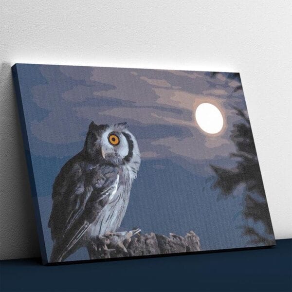 Owl in the Moonlight