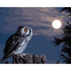 Owl in the Moonlight