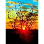 Beautiful Abstract Beautiful Abstract Art with Sunset