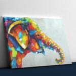 Cutest Colorful Elephant