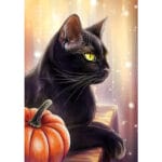 Black Cat and pumpkin