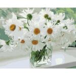 White Flowers in an transparent Pot