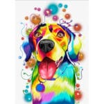 Amazing Abstract Dog