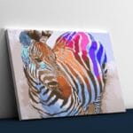 Multi Colored Zebra