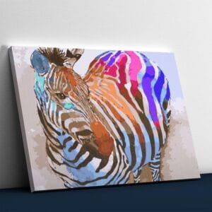 Multi Colored Zebra