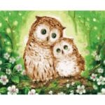 Sweet Owl Family