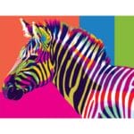 Colorful Zebra