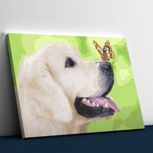 Butterfly Sitting on Dog