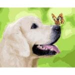 Butterfly Sitting on Dog