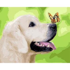 Butterfly Sitting on Dog