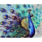 Dancing Peacock