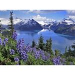 Mountains and Lake