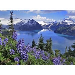 Mountains and Lake