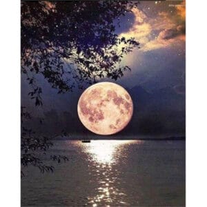 Beautiful Moon Light View