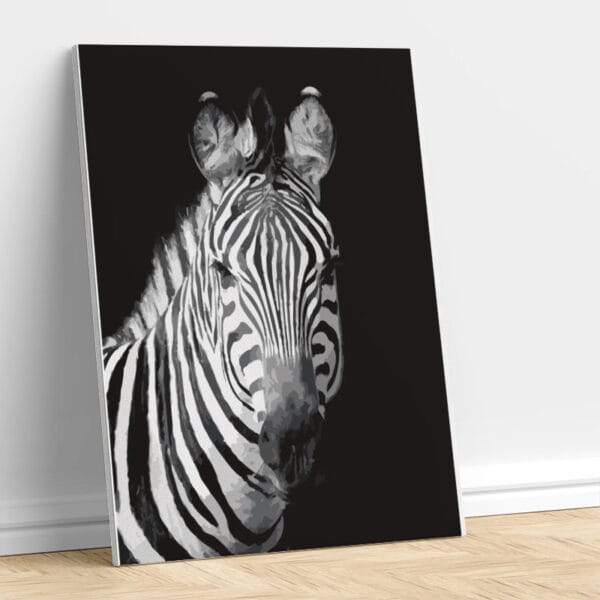 Beautiful Zebra