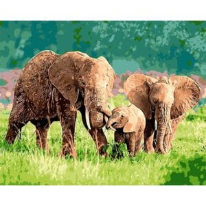 Elephant Family Enjoying