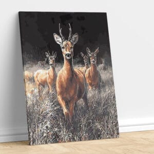 Beautiful Deer