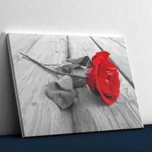 Red Rose and Wooden Floor