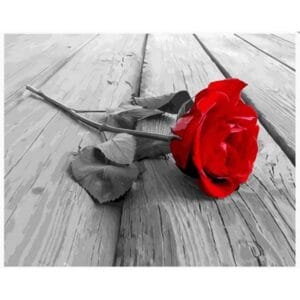 Red Rose and Wooden Floor