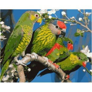 The Parrots