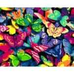 Colorful Butterflies