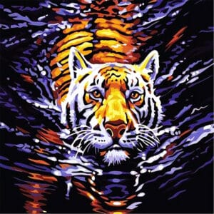 Swimming Tiger