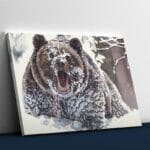 Angry Bear in the Snow