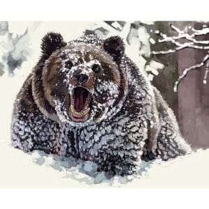 Angry Bear in the Snow