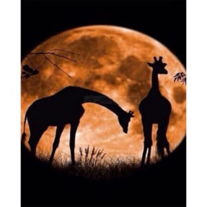 Romantic Giraffe in Moon Light