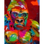 Colorful Gorilla