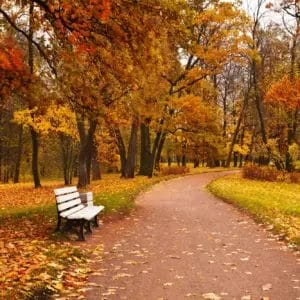 Autumn