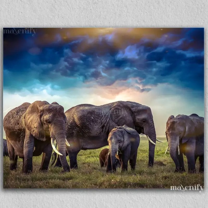 Elephants