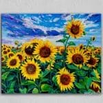 Sunflowers and Cloudy Weather