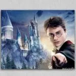 Magical Harry Potter