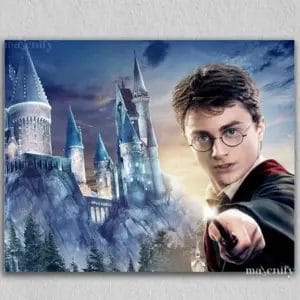 Magical Harry Potter