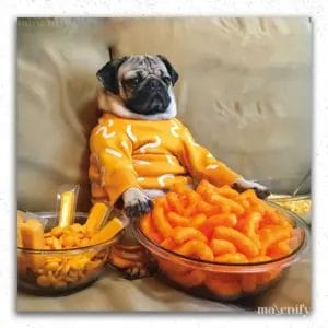 Food Lover Dog