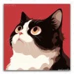 Surprised Cat