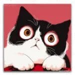 Adorable Cat