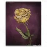 The Golden Rose - Paint by Numbers