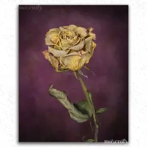 The Golden Rose - Paint by Numbers