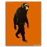Bored Ape - Paint By Numbers