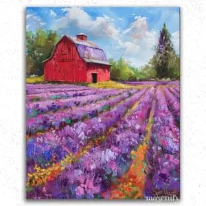 House in Colorful Fields
