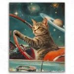 Cat Driving