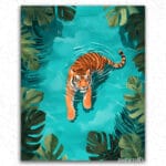 Tiger in Pool Tropical