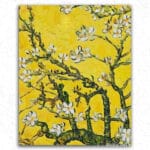 Almonds Tree