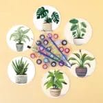 The Plants - DIY Drink Coasters