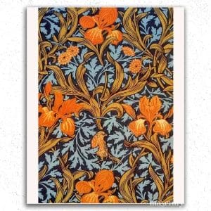 Autumn Flowers