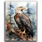Eagle's Beauty