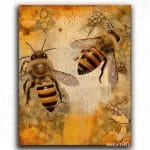 Two Bees